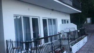 «Кедр»