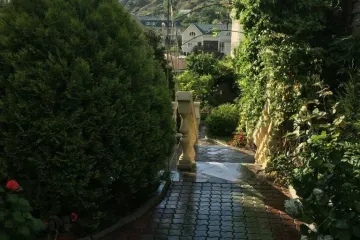 Кипарис Рыбачье