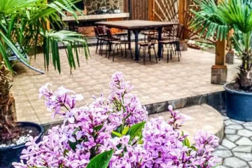 Кипарисовый дворик Алушта