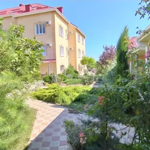 Корона