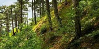 Крымская туристическая тропа фото 8