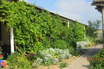 Лагуна Заозёрное