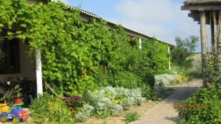 «Лагуна»