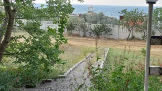 «Ласэрта»