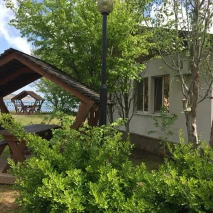 Лаванда