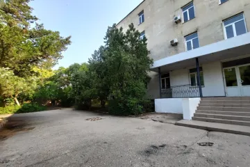 Лебедь Мирный