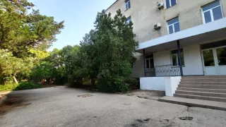 «Лебедь»