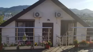 «Лесной»