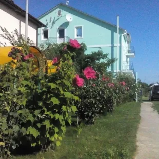 Лилия