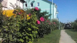 «Лилия»