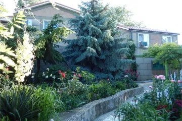 Лира Коктебель