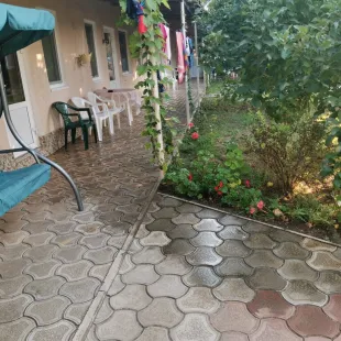 Лонисера