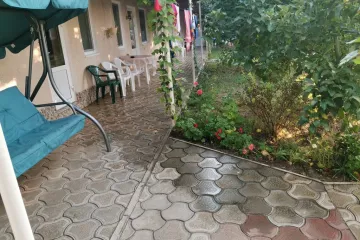 Лонисера Штормовое