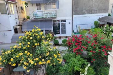 Лунное сияние Николаевка