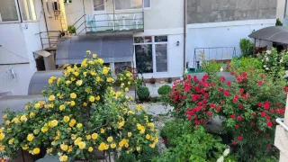 «Лунное сияние»