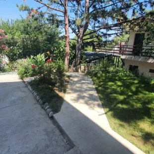 Маргарита