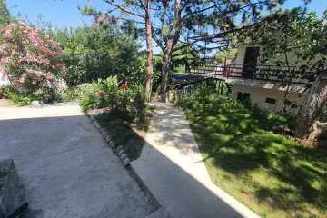 Маргарита Алупка