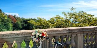 Массандровский дворец в сентябре фото 7