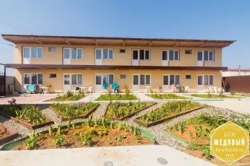 Медовый Саки