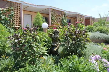 Мелиора Оленевка