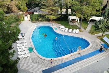 Морской конек Коктебель