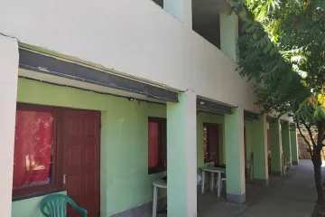 Муравей Новофёдоровка