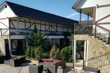 Муравейник Заозёрное