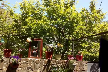 На Виноградной у Натальи Рыбачье