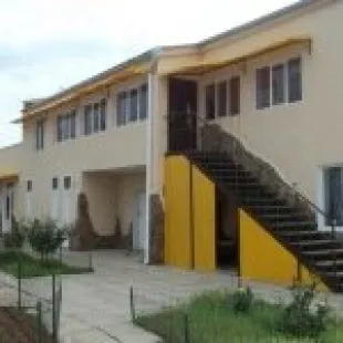 Оазис