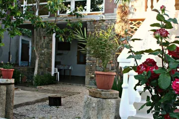 Оазис у Сулеймана Весёлое