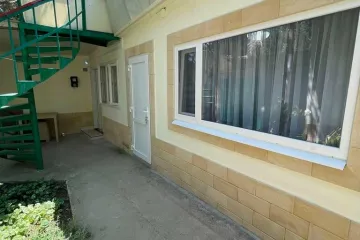 Олива Новый Свет