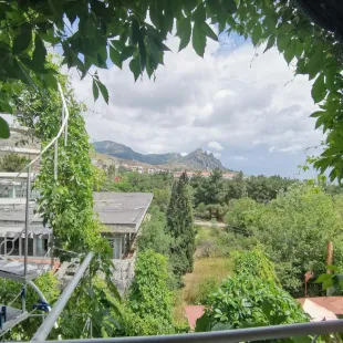 Орловские Дачи