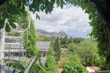 Орловские Дачи Курортное