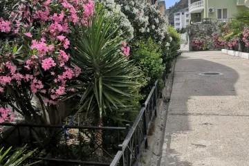 Отель Крем Рыбачье