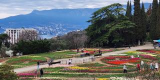 27 марта в Крыму стартует парад тюльпанов фото 2