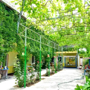 Paradis