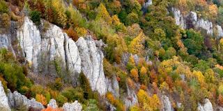 Перья Хапхала фото 6