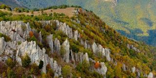 Перья Хапхала фото 1