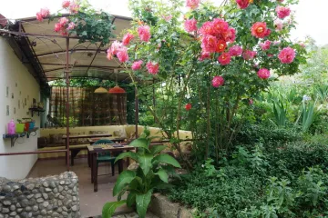 Полынный Коктебель