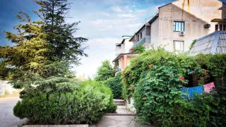 «Prohlada Green»
