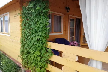 Рыжий лев Уютное