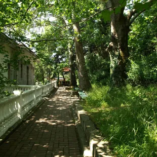 Санаторий Алупка