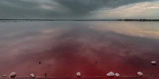 Розовое озеро Сасык-Сиваш в Евпатории фото 11