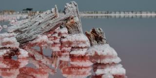 Розовое озеро Сасык-Сиваш в Евпатории фото 1
