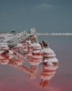 Необычайной красоты розовое озеро Сасык-Сиваш в Евпатории