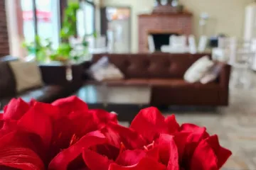 Sezam Club Алушта