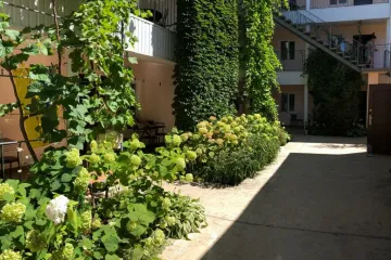 Шарм Николаевка