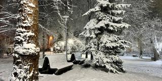 Сквер у гост. Москва превратился в снежную сказку фото 4