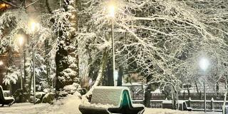Сквер у гост. Москва превратился в снежную сказку фото 5
