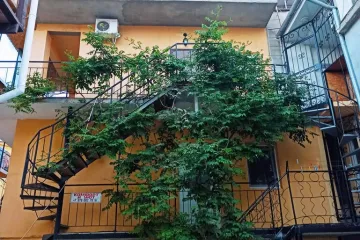 Сокол Новый Свет